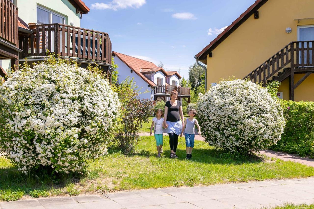Mueritzparadies - Feriendorf Alte Fahrt Rechlin Exteriör bild